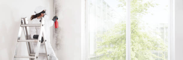 Best Dehumidification Services  in Palatka, FL