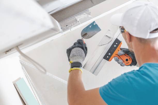 Best Asbestos and Lead Testing During Mold Inspection  in Palatka, FL